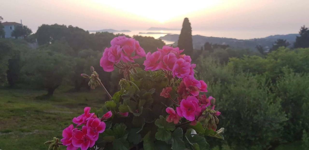 Villa Angelko Kavvadades Kültér fotó